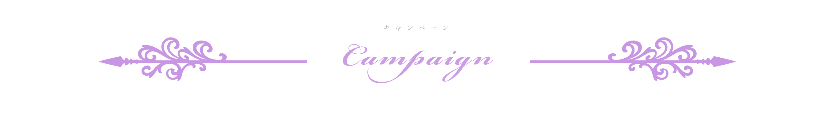 campaign